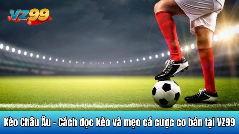 Kèo Châu Âu - Cách đọc kèo và mẹo cá cược cơ bản tại VZ99 6 Kèo Châu Âu - Cách đọc kèo và mẹo cá cược cơ bản tại VZ99