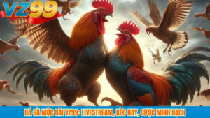 Đá gà Mộc Bài VZ99: Livestream, kèo hay, cược minh bạch 2 Đá gà Mộc Bài VZ99: Livestream, kèo hay, cược minh bạch