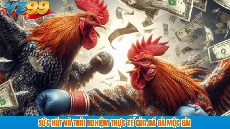 Đá gà Mộc Bài VZ99: Livestream, kèo hay, cược minh bạch 2 Sức hút và trải nghiệm thực tế của đá gà mộc bài